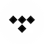 Tidal logo